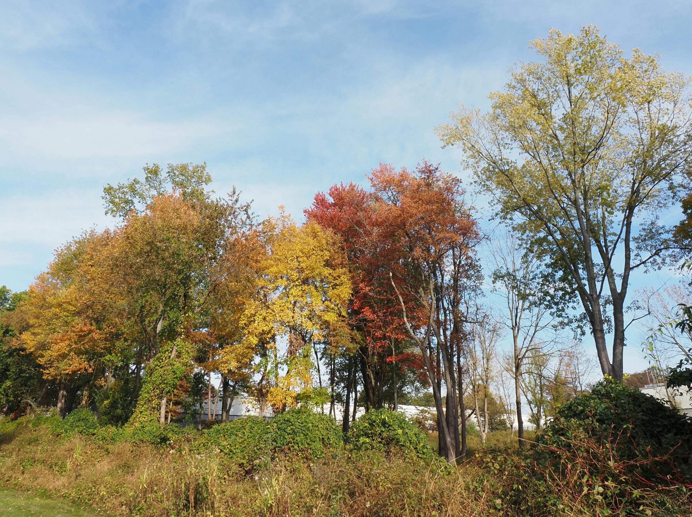 Wellsville PA Roofing Tips